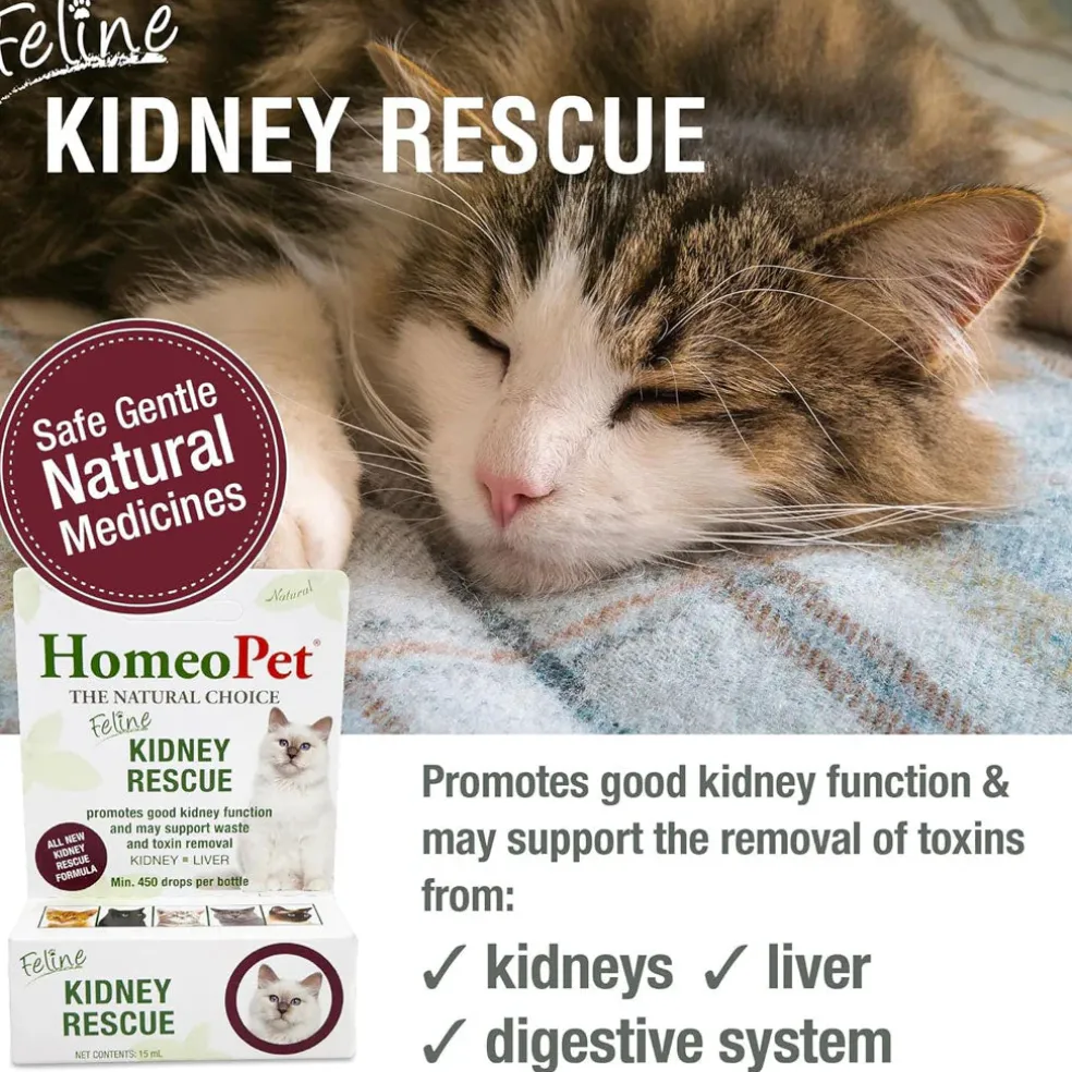 HomeoPet Feline Kidney Rescue, 15-ml