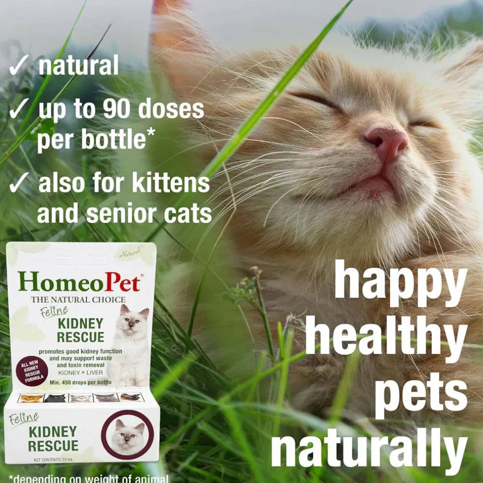 HomeoPet Feline Kidney Rescue, 15-ml