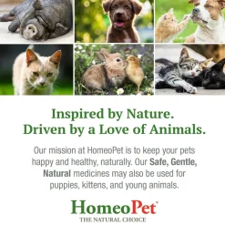 HomeoPet Feline Kidney Rescue, 15-ml