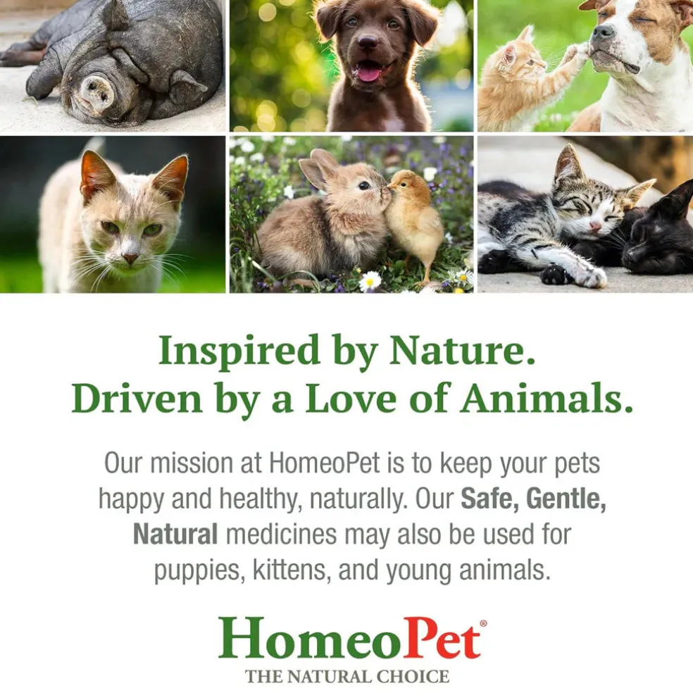 HomeoPet Feline Kidney Rescue, 15-ml