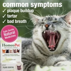 HomeoPet Feline Purr Dental for Cats (15 ml)