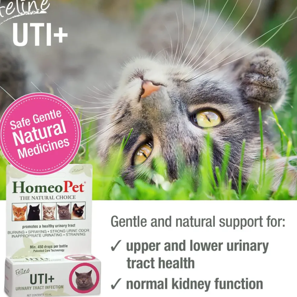 HomeoPet Feline UTI+ Urinary-Tract Support for Cats (15 ml)