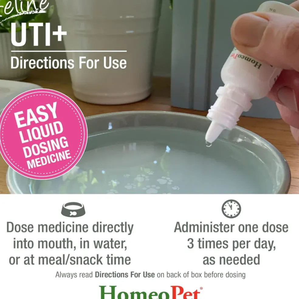 HomeoPet Feline UTI+ Urinary-Tract Support for Cats (15 ml)