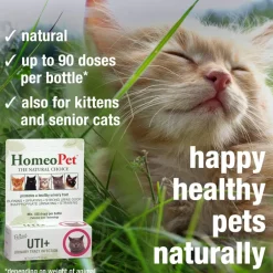 HomeoPet Feline UTI+ Urinary-Tract Support for Cats (15 ml)