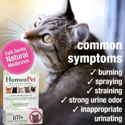 HomeoPet Feline UTI+ Urinary-Tract Support for Cats (15 ml)
