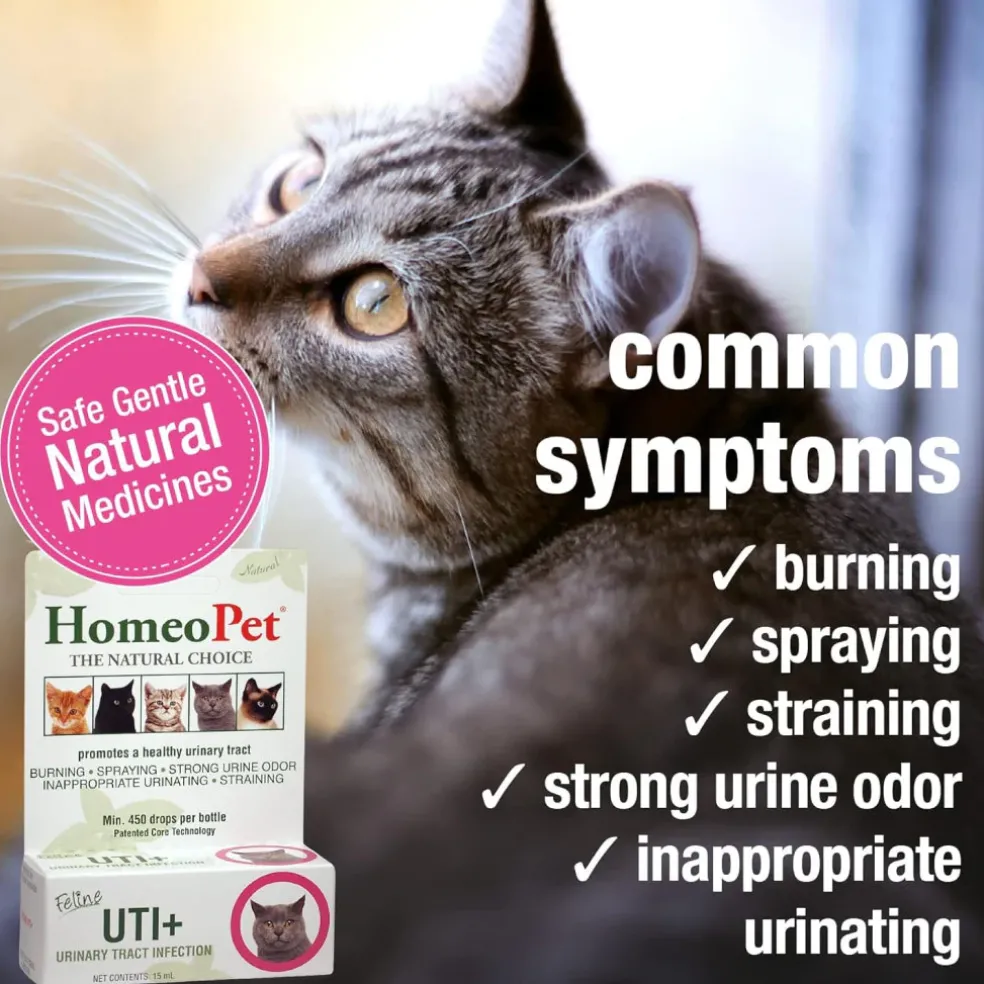 HomeoPet Feline UTI+ Urinary-Tract Support for Cats (15 ml)