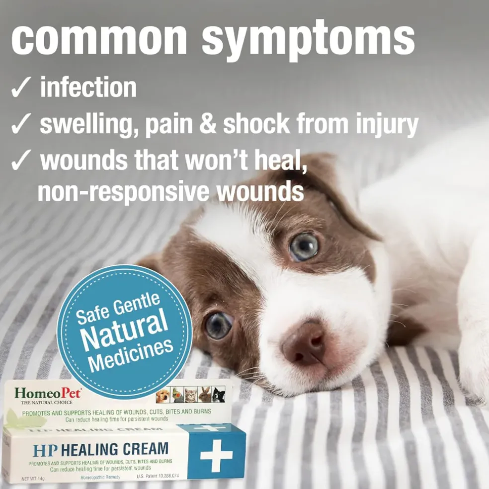 HomeoPet HP Healing Wound Cream For Pets (14 g)