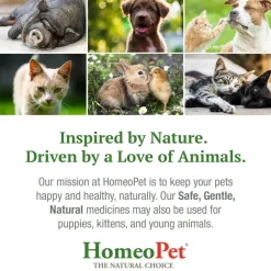HomeoPet HP Healing Wound Cream For Pets (14 g)