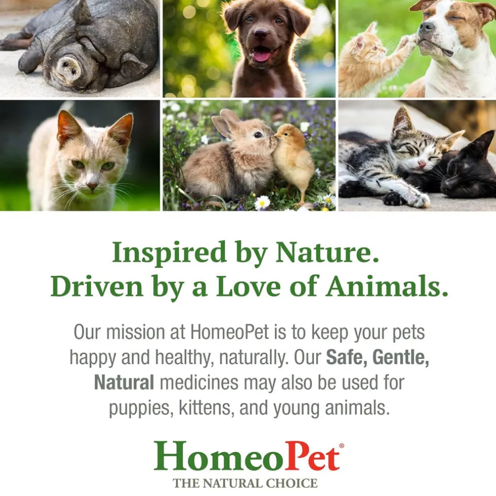 HomeoPet Storm Stress for Small Animals, 15-ml