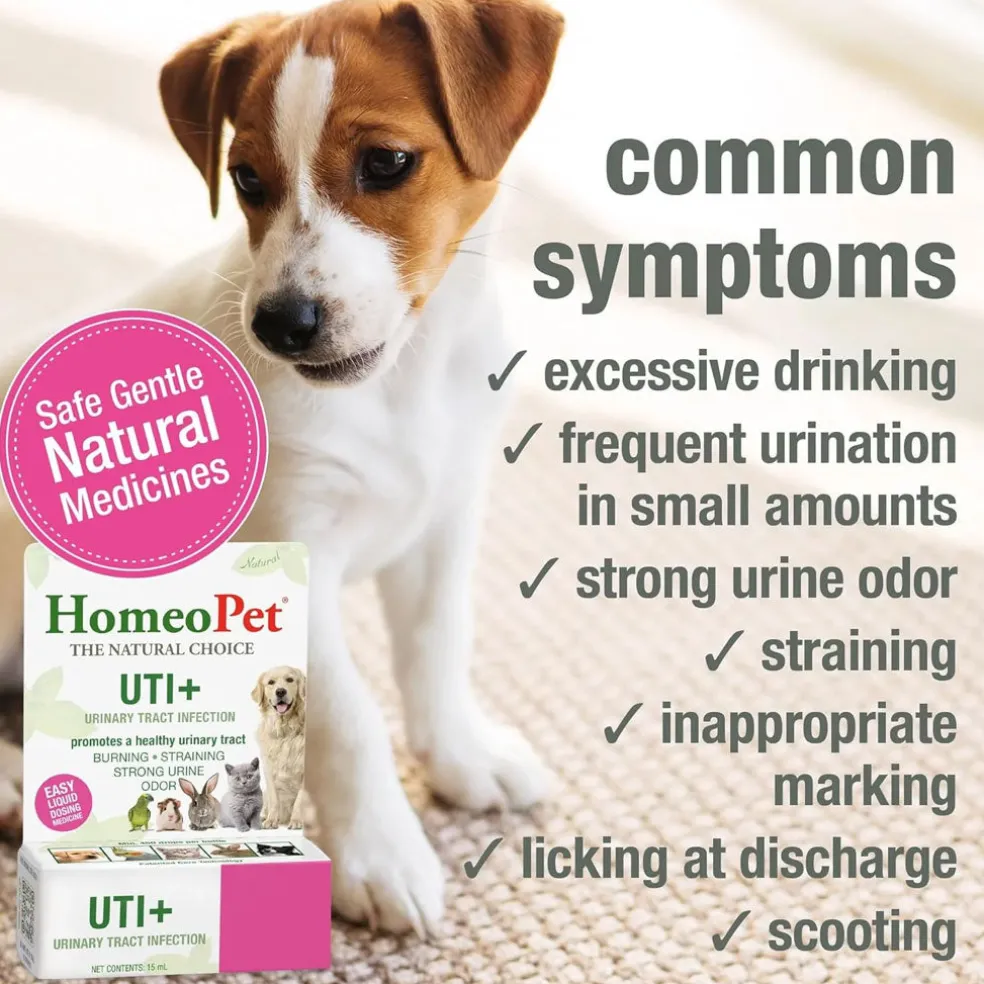 HomeoPet UTI Plus Urinary Tract Infection for Pets, 15-ml