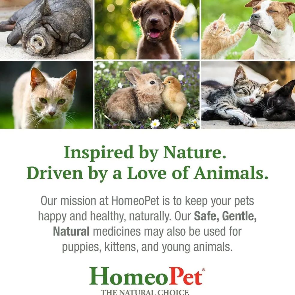 HomeoPet UTI Plus Urinary Tract Infection for Pets, 15-ml