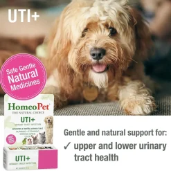HomeoPet UTI Plus Urinary Tract Infection for Pets, 15-ml
