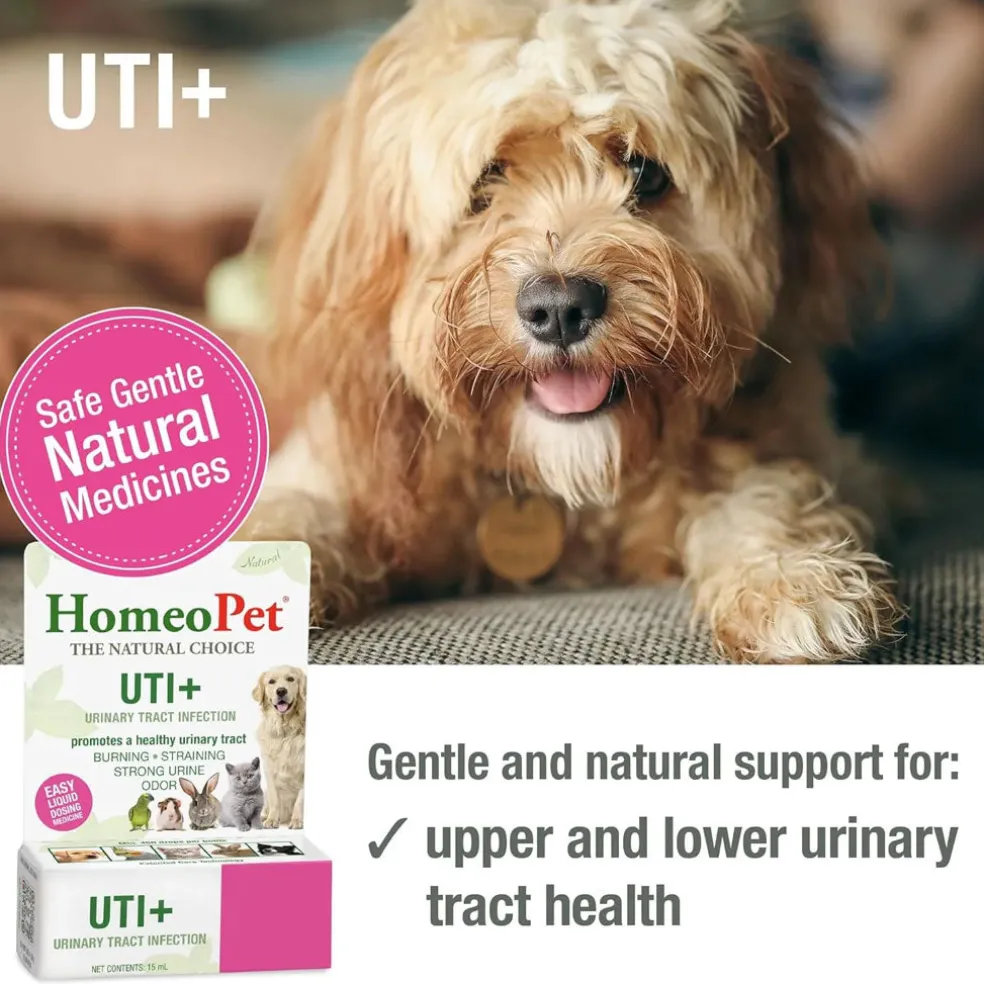 HomeoPet UTI Plus Urinary Tract Infection for Pets, 15-ml