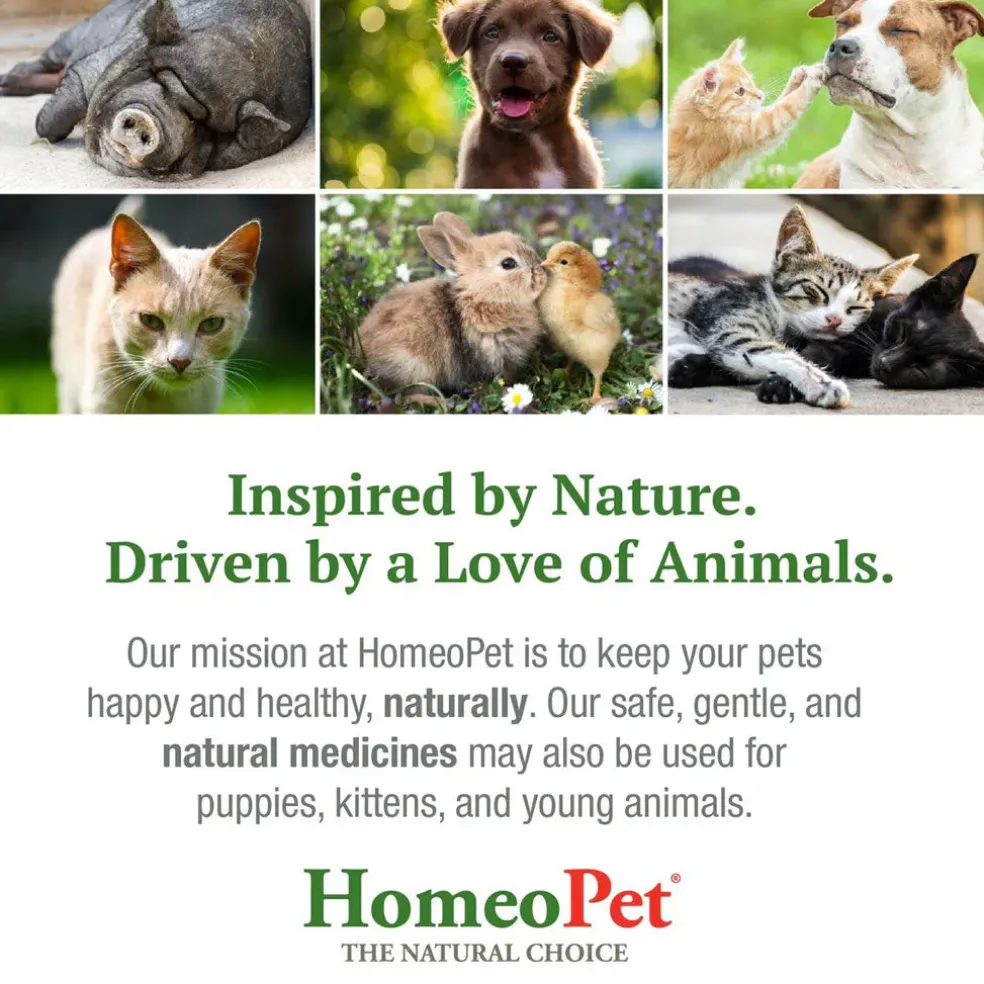 HomeoPet WRM Clear for Pets, 15 ml