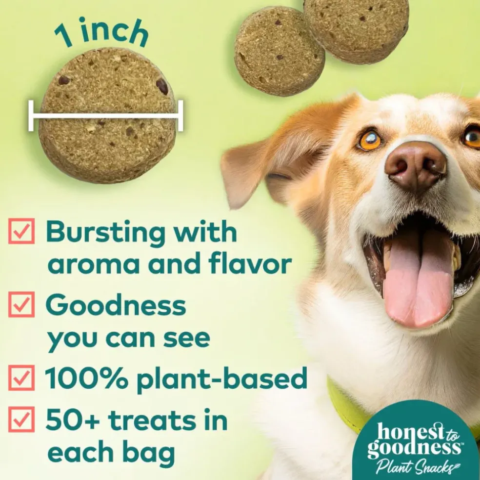 Honest To Goodness Happy Feet Apple & Cinnamon Recipe Mobility Treats For Dogs (8 oz)