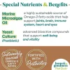 Honest To Goodness Way to Glow Coconut & Flax Recipe Skin & Coat Treats For Dogs (8 oz)