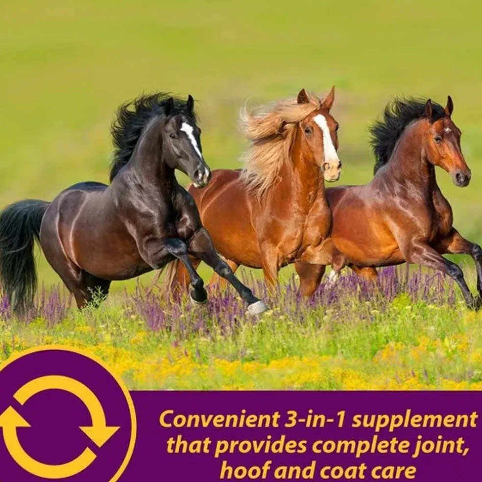 Horse Health Products Joint Combo Hoof & Coat 3-in-1 Apple Flavor Pellets Horse Supplement