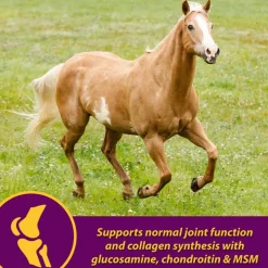 Horse Health Products Joint Combo Hoof & Coat 3-in-1 Apple Flavor Pellets Horse Supplement