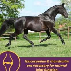 Horse Health Products Joint Combo Classic Pellets Horse Supplement