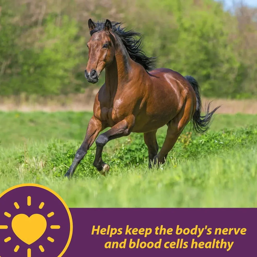 Horse Health Products Vita B-12 Crumbles Vitamin Supplement For Horses (3 lb)