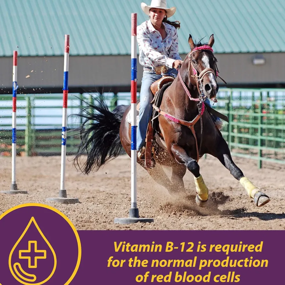 Horse Health Products Vita B-12 Crumbles Vitamin Supplement For Horses (3 lb)
