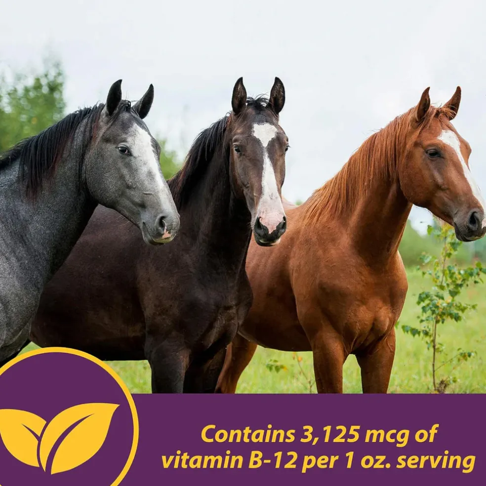 Horse Health Products Vita B-12 Crumbles Vitamin Supplement For Horses (3 lb)