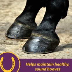 Horse Health Products Vita-Biotin Cumbles Hoof Supplement for Horses (3 lb)
