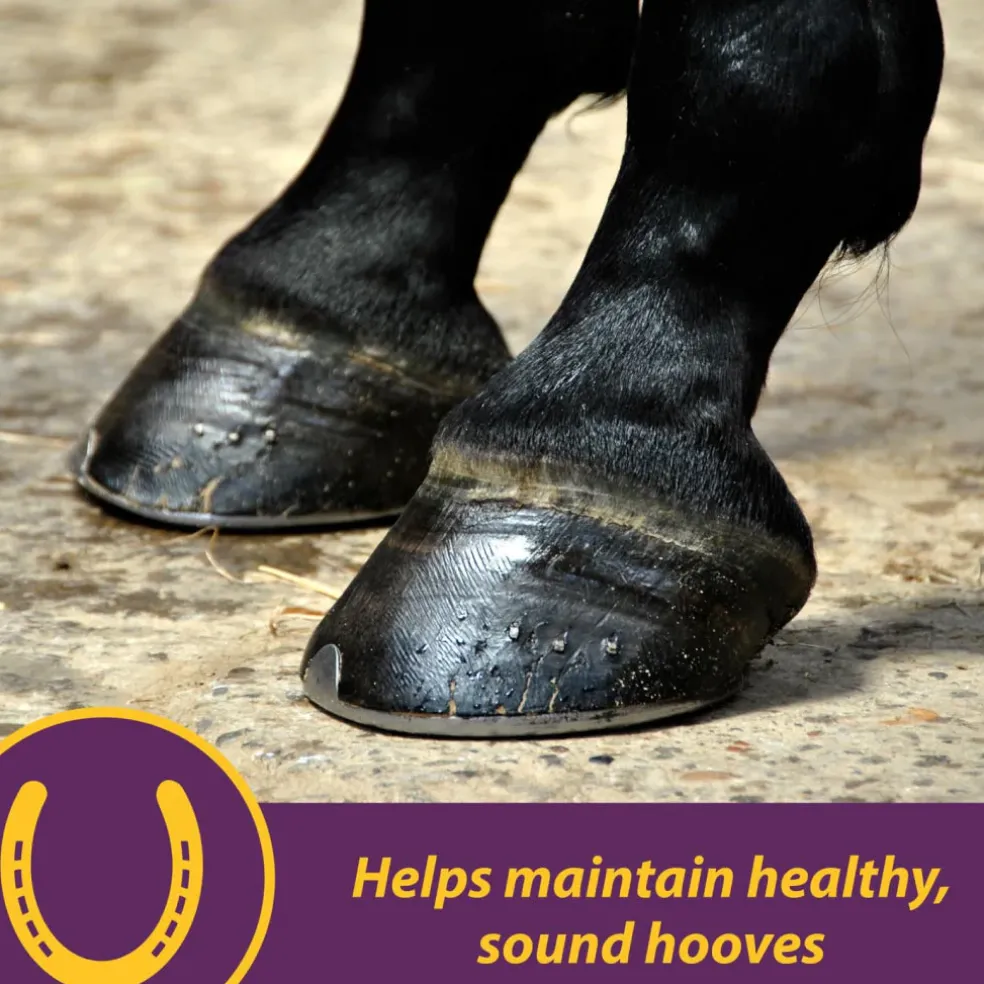 Horse Health Products Vita-Biotin Cumbles Hoof Supplement for Horses (3 lb)