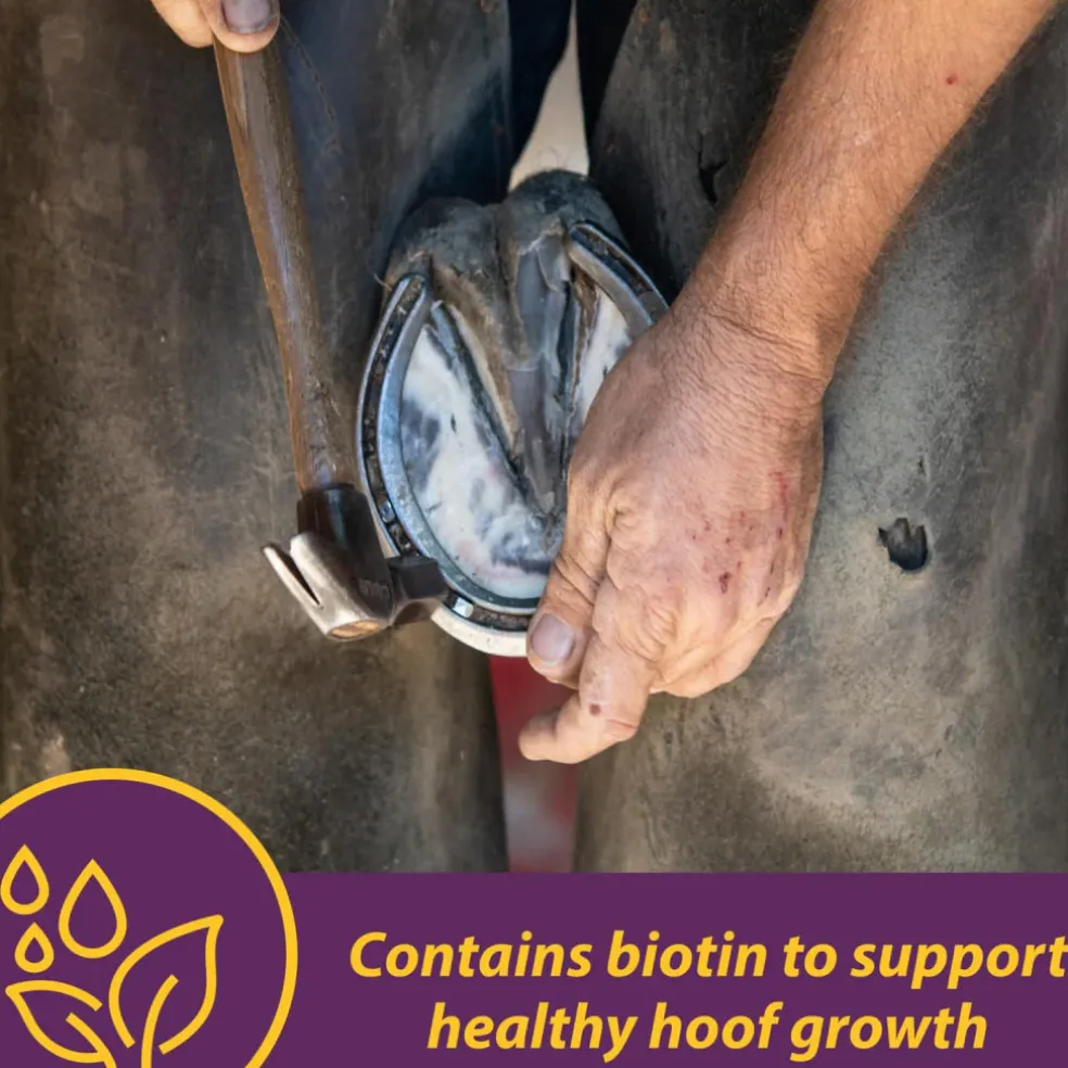 Horse Health Products Vita-Biotin Cumbles Hoof Supplement for Horses (3 lb)