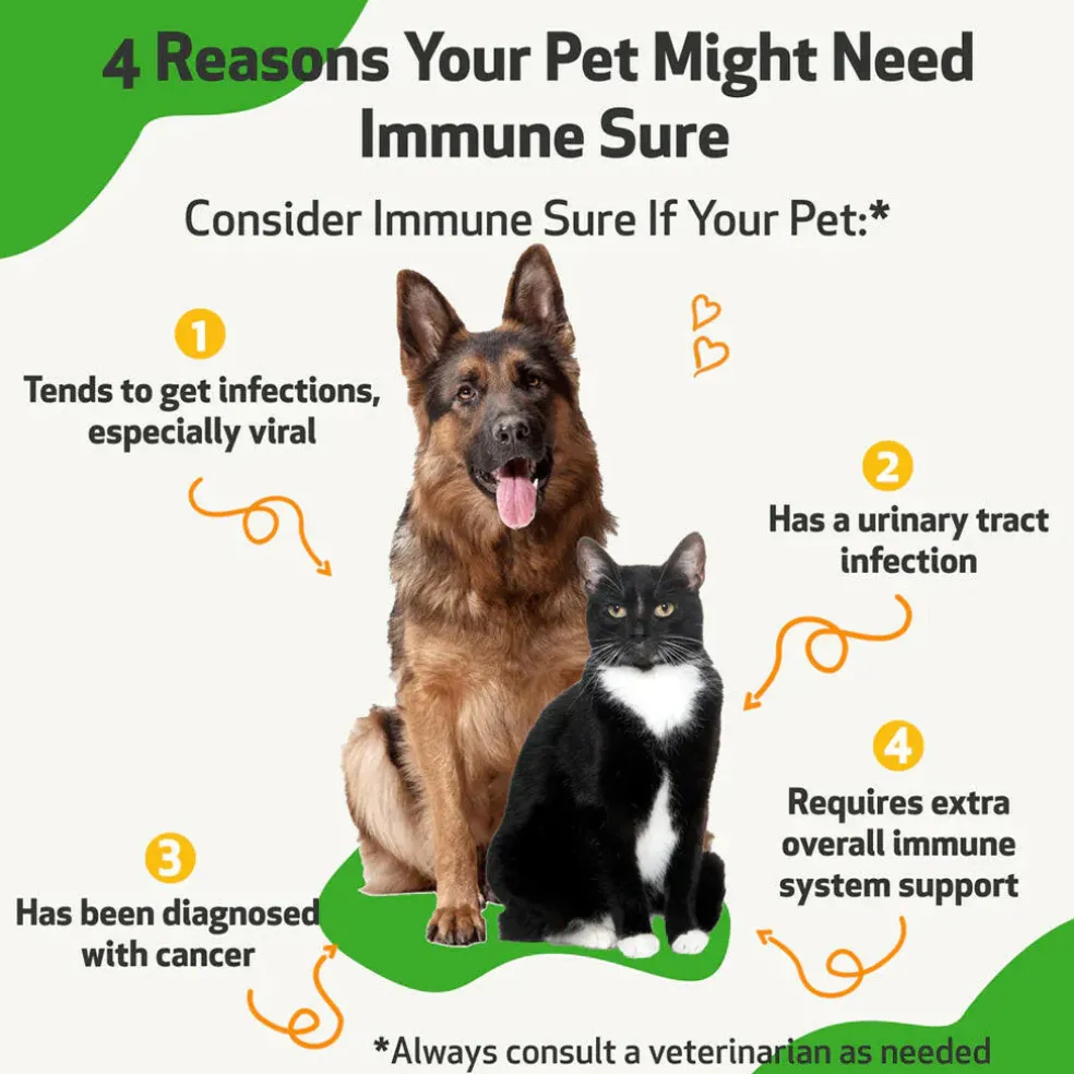 Immune SURE -for Feline Immune System Support