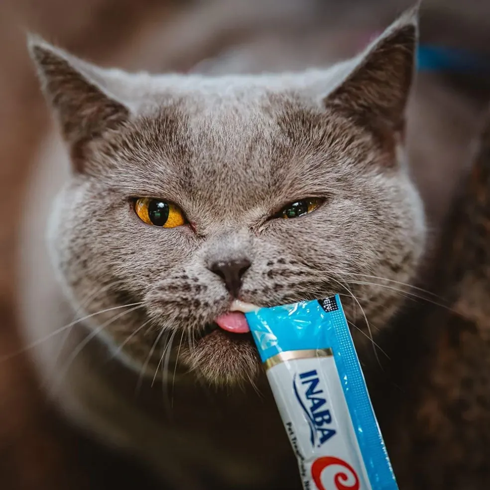 Inaba Churu Chicken with Cheese Puree Grain-Free Lickable Treat for Cats, 0.5-oz x 4-tubes