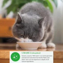 Inaba Dashi Delights Chicken Variety Pack in Broth Cat Food, 2.5-oz, pack of 12