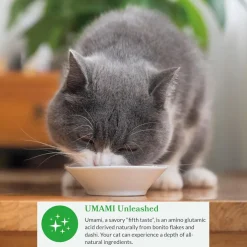 Inaba Dashi Delights Chicken with Tuna & Salmon Recipe in Broth Cat Food, 2.5-oz