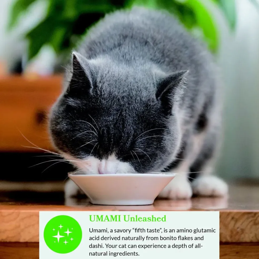 Inaba Dashi Delights Tuna Variety Pack in Broth Cat Food, 2.5-oz, pack of 12