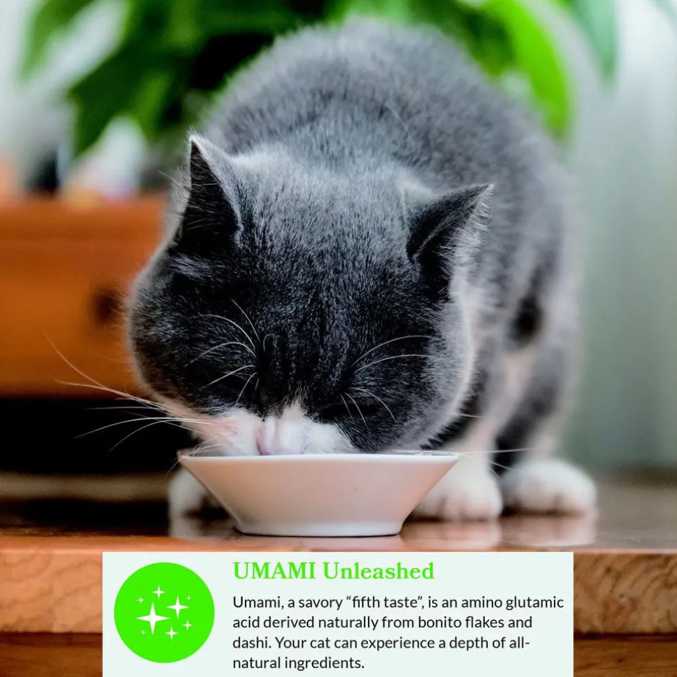 Inaba Dashi Delights Tuna Variety Pack in Broth Cat Food, 2.5-oz, pack of 12