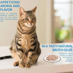 Inaba Twin Packs Chicken Recipe in Chicken Broth Grain-Free Cat Food, 1.4-oz
