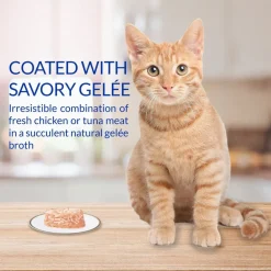 Inaba Twins Chicken Recipe Grain-Free Cat Food, 1.23-oz