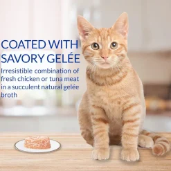 Inaba Twins Chicken with Cheese Recipe Grain-Free Cat Food, 1.23-oz