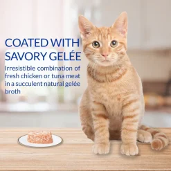 Inaba Twins Tuna & Chicken Recipe Grain-Free Cat Food, 1.23-oz