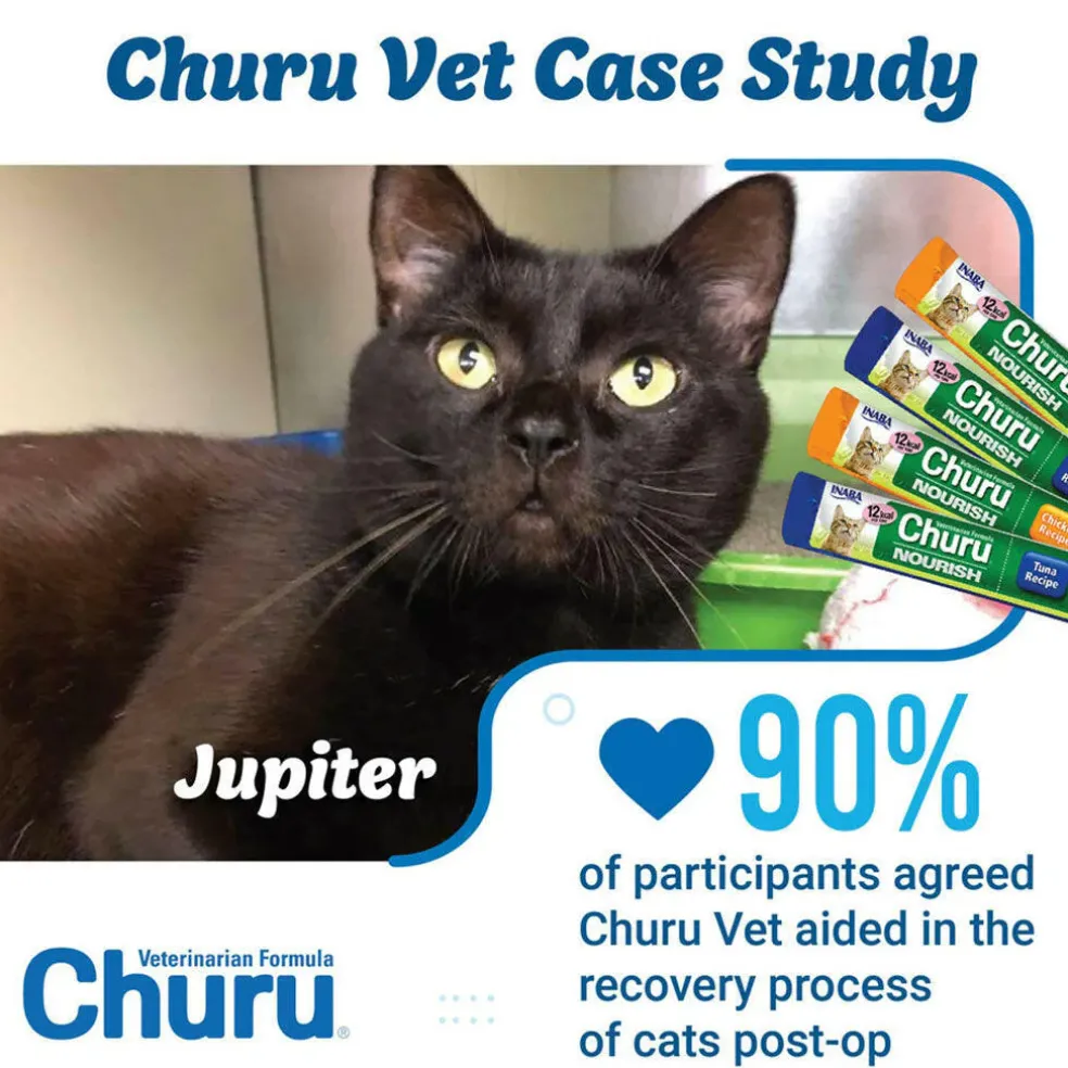 INABA Veterinarian Formula Churu Nourish, Chicken & Tuna Recipe Lickable Treats for Cats