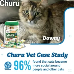 INABA Veterinarian Formula Churu Nourish, Chicken & Tuna Recipe Lickable Treats for Cats