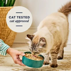 Instinct Fresh Dried Patés Freeze-Dried Raw Rabbit Entrée for Cats
