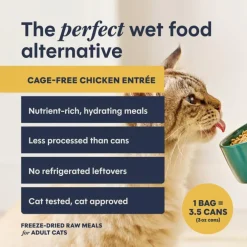 Instinct Fresh Dried Patés Freeze-Dried Raw Chicken Entrée for Cats