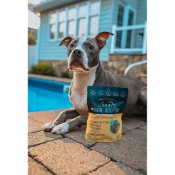 Jiminy's Cricket Peanut Butter & Blueberry Dog Biscuits (5 oz)