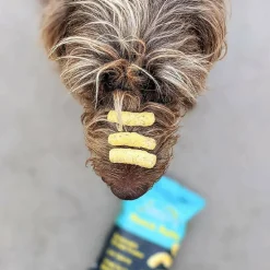 Jiminy's Nooch Puffs Dog Training Treats For Dogs (4.2 oz)