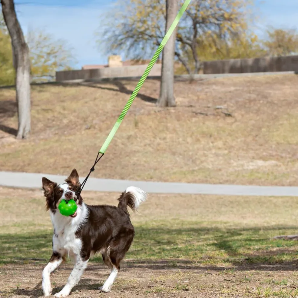 Jolly Pet Tree Tugger Toy For Dogs