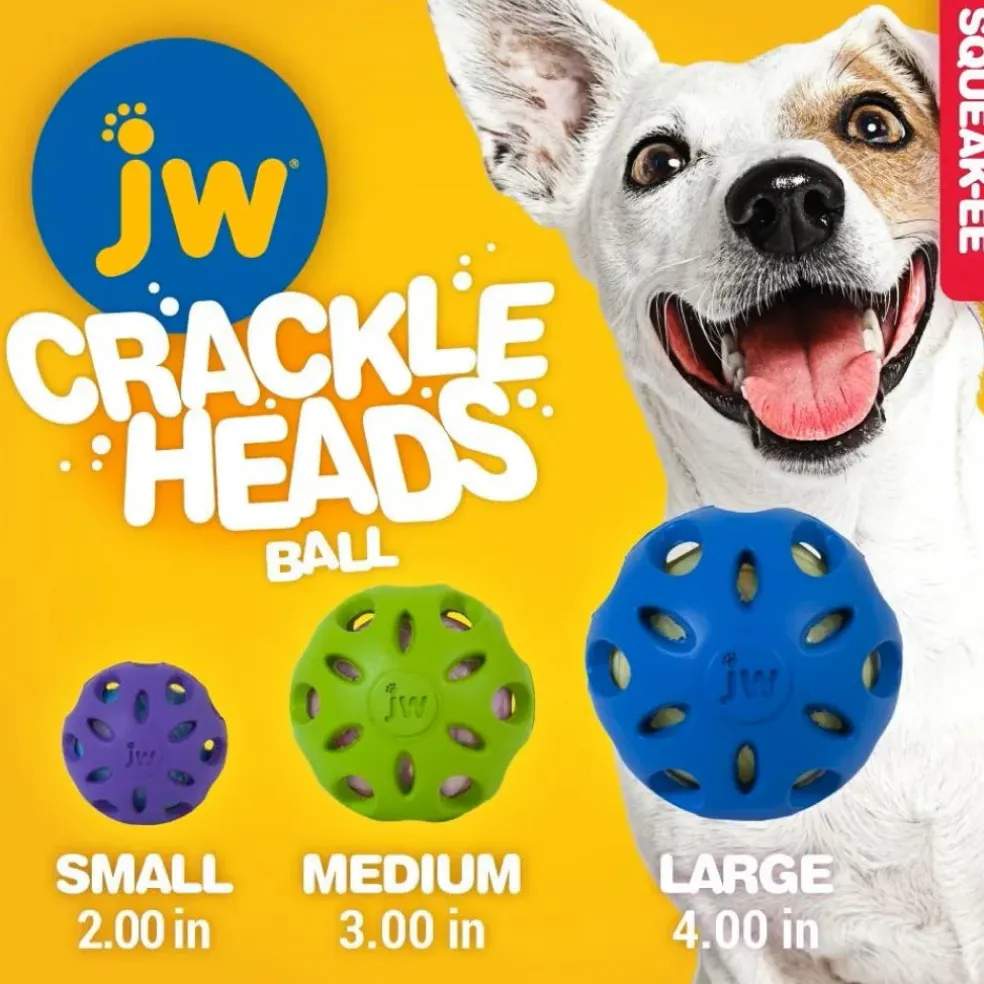 JW Pet Crackle Heads Ball Toy For Dogs- Assorted Colors