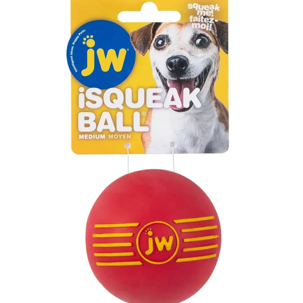 JW Pet iSqueak Ball Toy For Dogs- Assorted colors