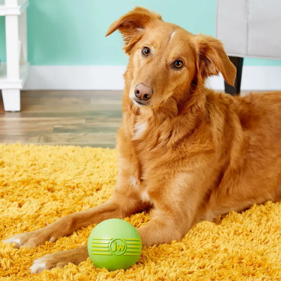 JW Pet iSqueak Ball Toy For Dogs- Assorted colors