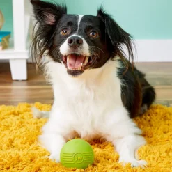 JW Pet iSqueak Ball Toy For Dogs- Assorted colors